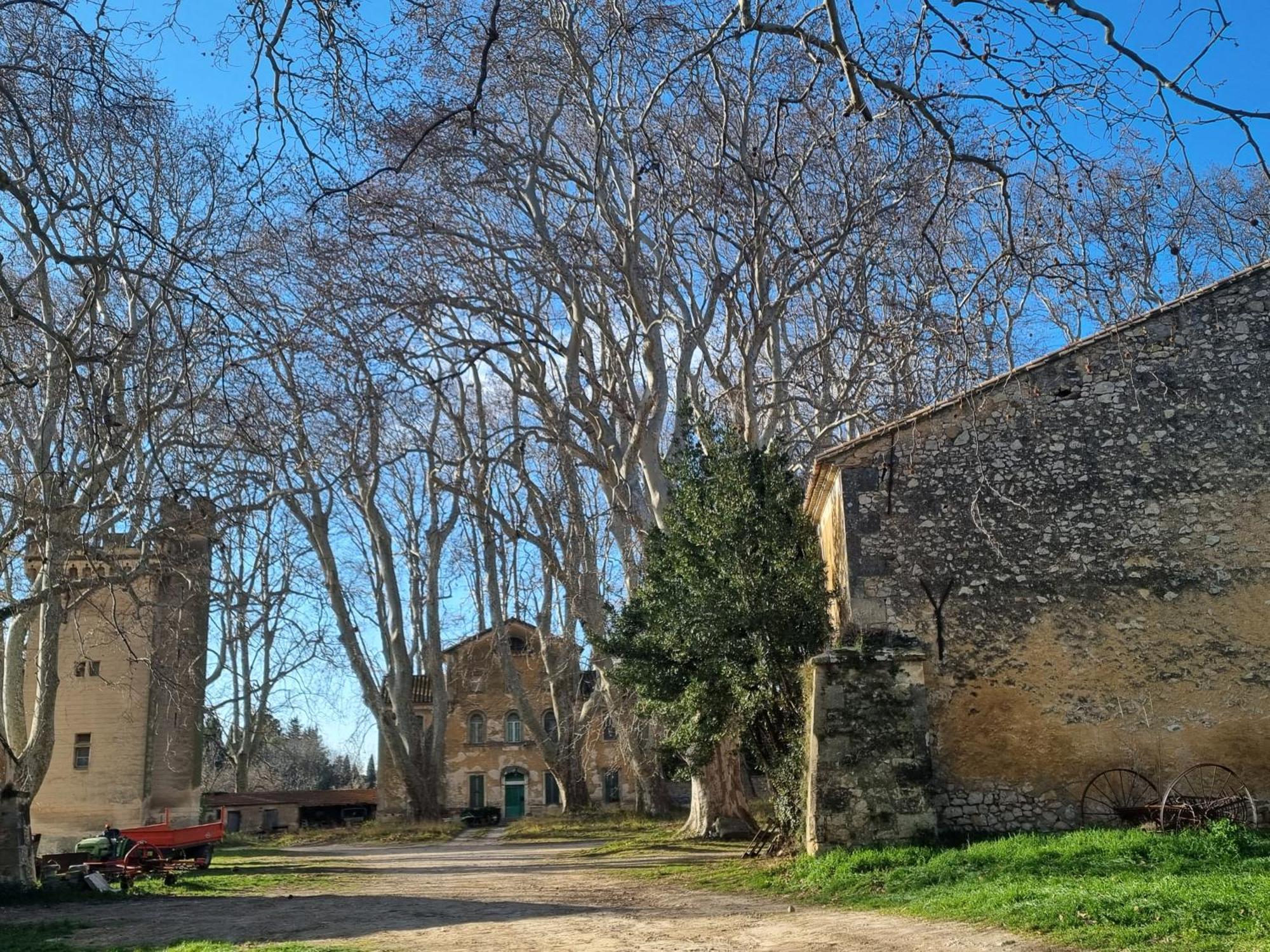 Les Garrigues De La Vallee Des Baux 파라두 외부 사진