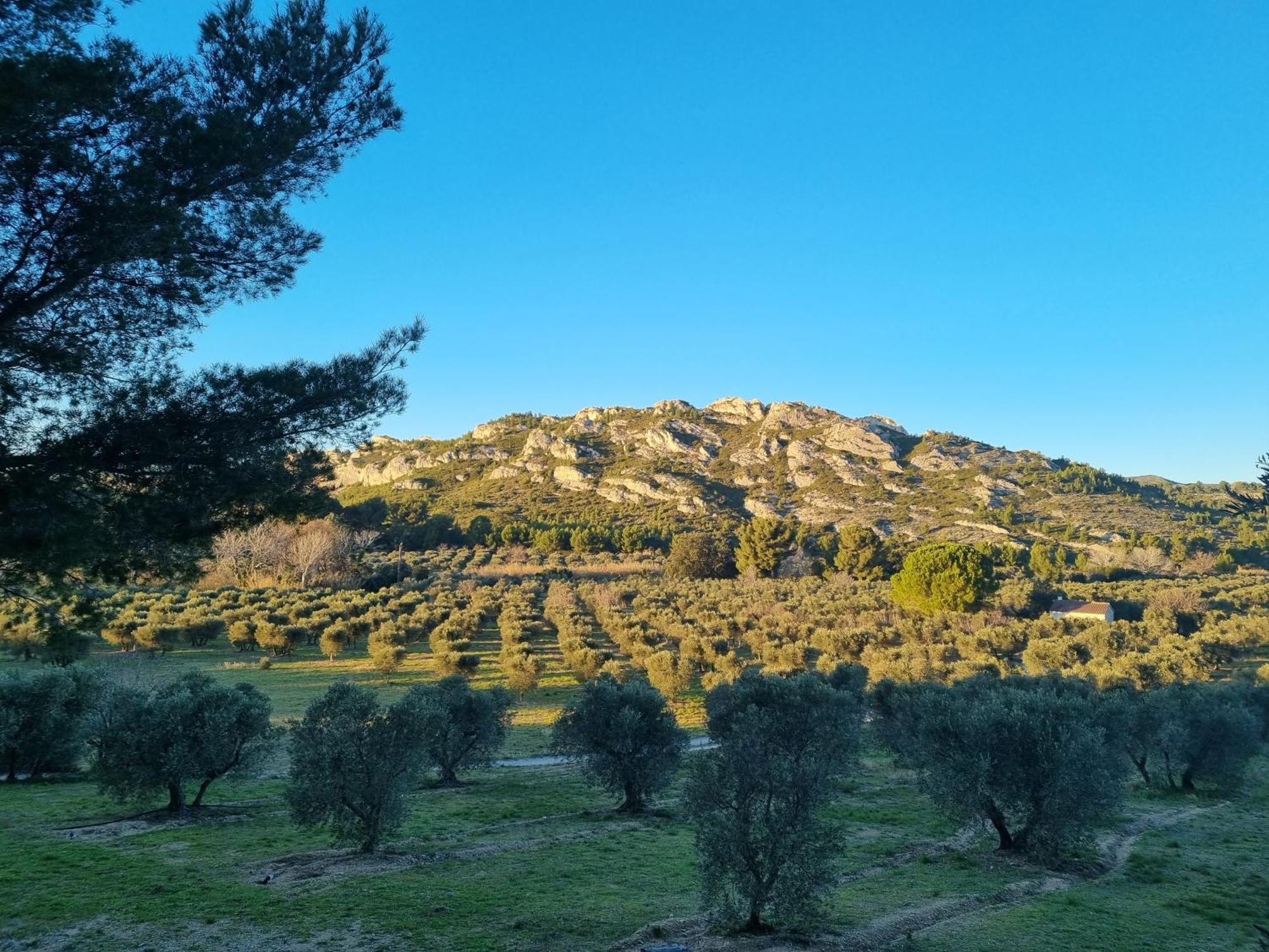 Les Garrigues De La Vallee Des Baux 파라두 외부 사진