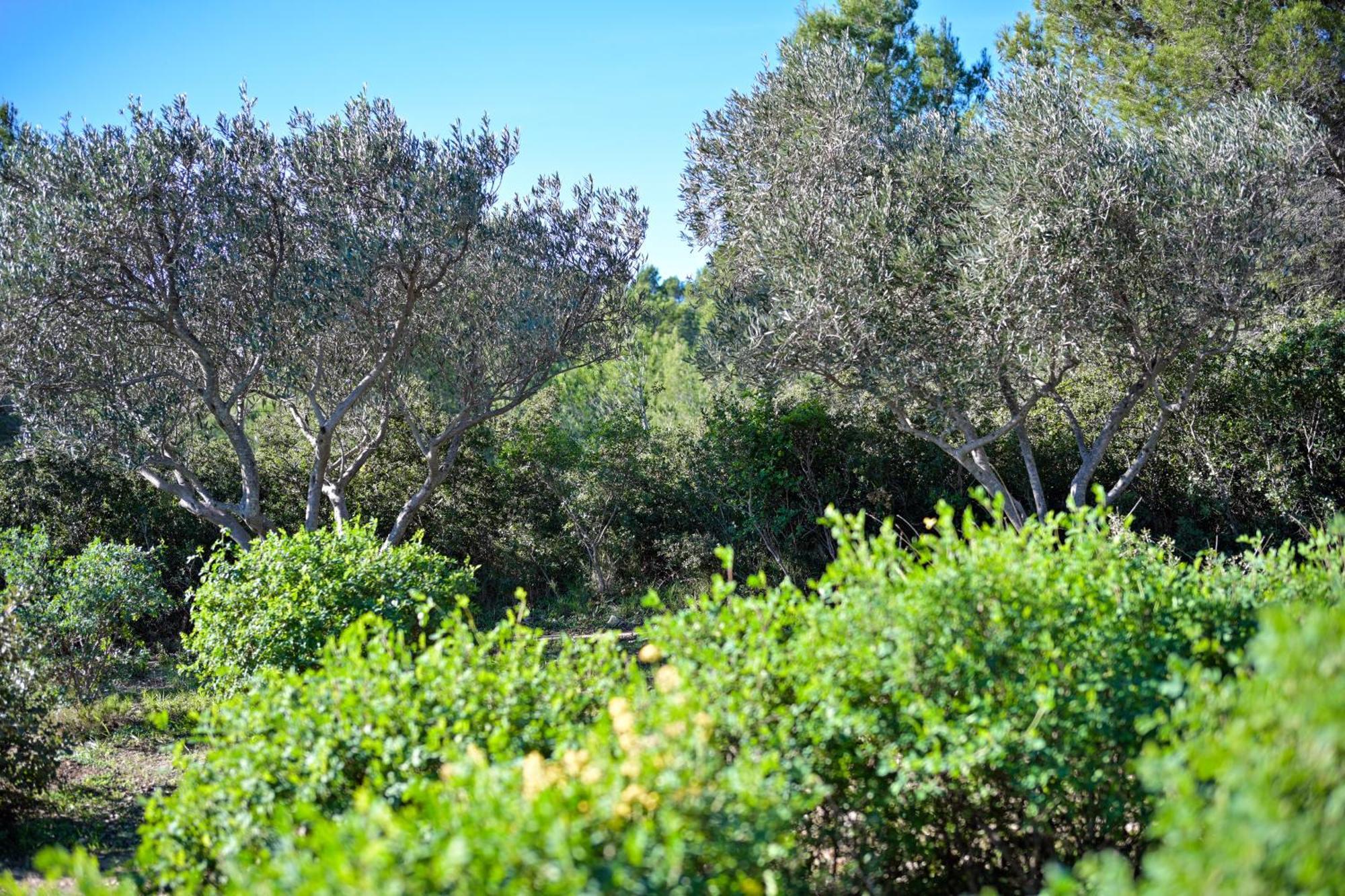 Les Garrigues De La Vallee Des Baux 파라두 외부 사진