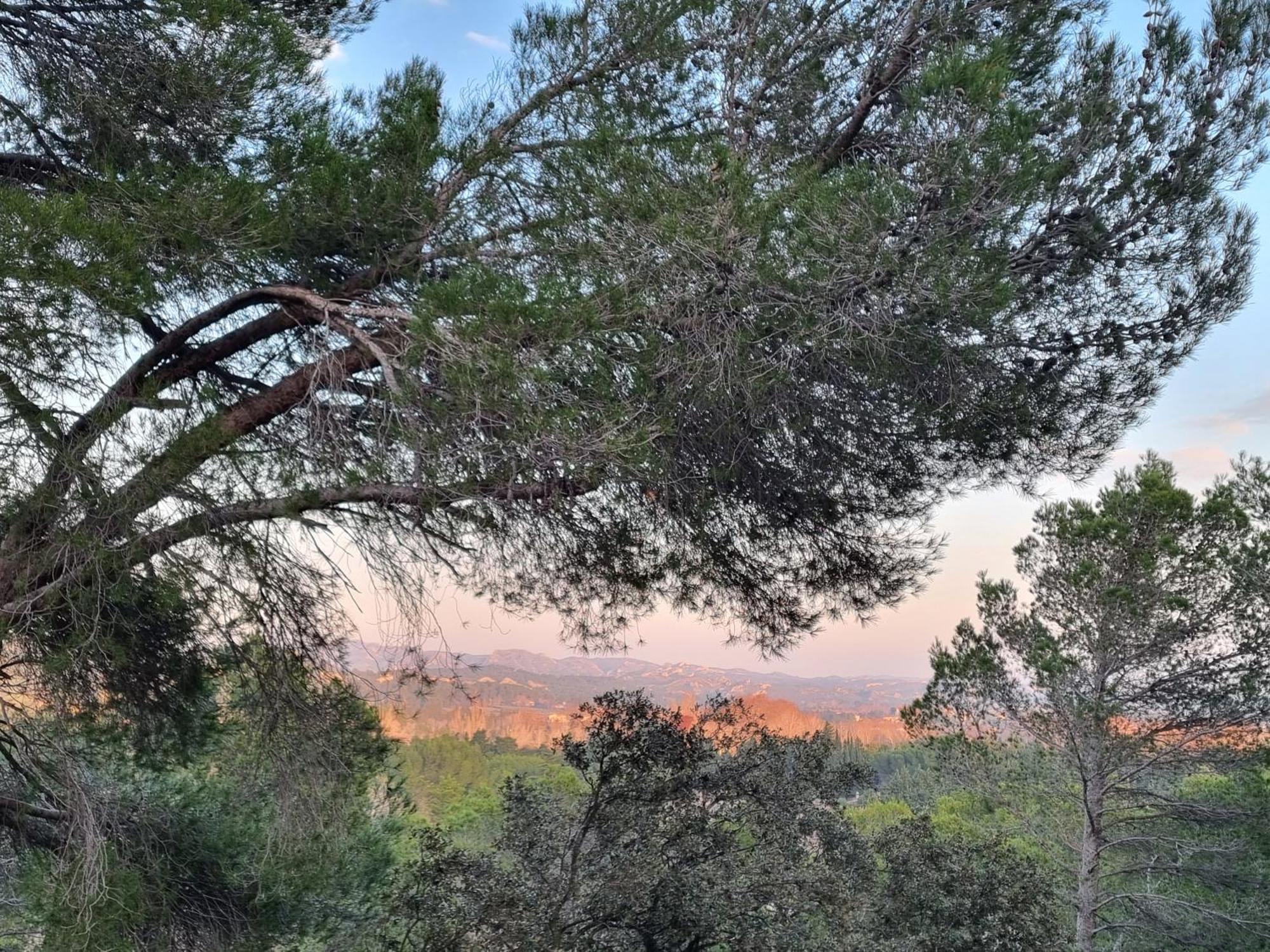 Les Garrigues De La Vallee Des Baux 파라두 외부 사진